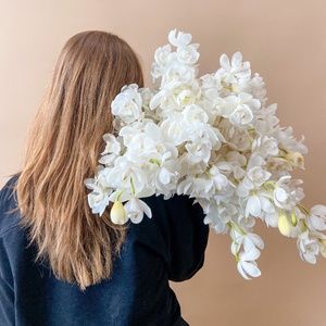 Meet your Posher, Els